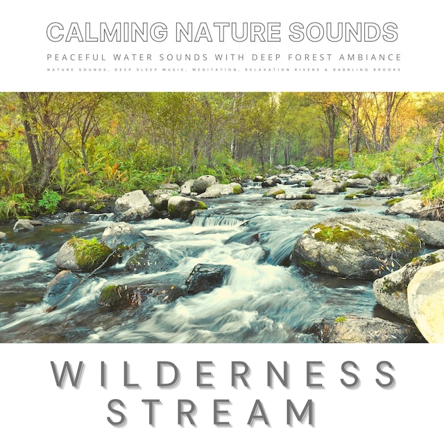Book cover for Peaceful Water Sounds With Deep Forest Ambiance: Wilderness Stream & Babbling Brook