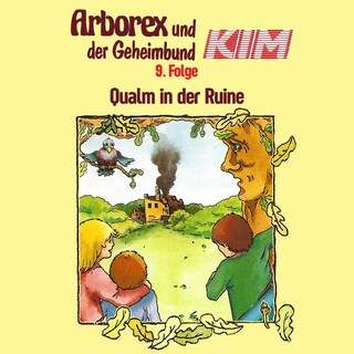 09: Qualm in der Ruine als Hörbuch
