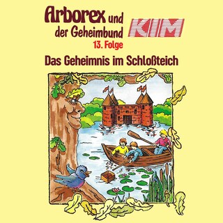 13: Das Geheimnis im Schloßteich als Hörbuch