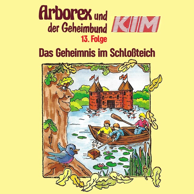 Copertina del libro per 13: Das Geheimnis im Schloßteich