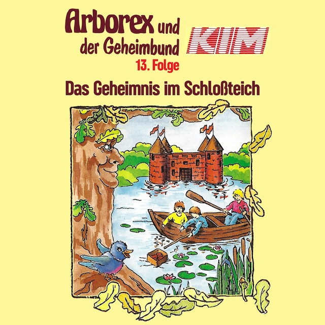 Copertina del libro per 13: Das Geheimnis im Schloßteich