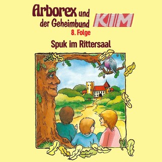 08: Spuk im Rittersaal als Hörbuch