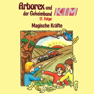 17: Magische Kräfte als Hörbuch