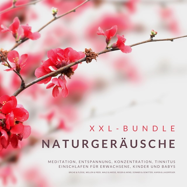 Buchcover für XXL-Bundle: Naturgeräusche