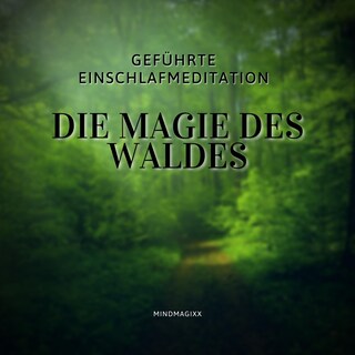 Geführte Einschlafmeditation / Einschlafhilfe / Hörbuch zum Einschlafen als Hörbuch