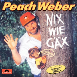 Nix Wie Gax als Hörbuch