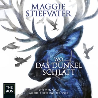 Wo das Dunkel schläft als Hörbuch