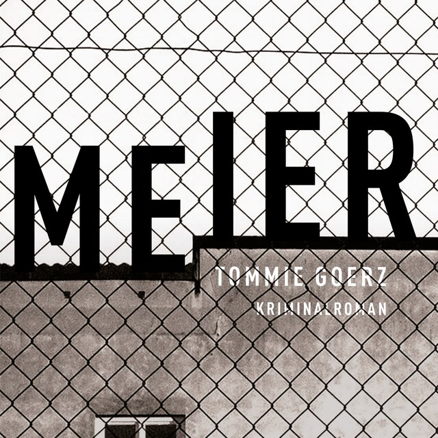 Couverture de livre pour Meier