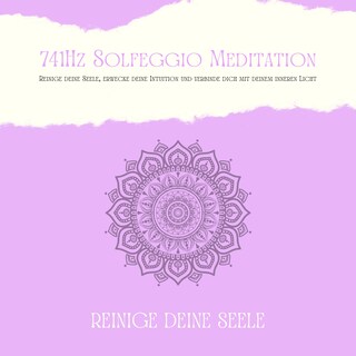 741Hz Solfeggio Meditation: Reinige Deine Seele, erwecke Deine Intuition und verbinde dich mit Deinem inneren Licht als Hörbuch