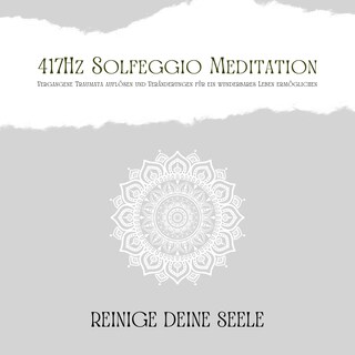 417Hz Solfeggio Meditation: Vergangene Traumata auflösen und Veränderungen für ein wunderbares Leben ermöglichen als Hörbuch