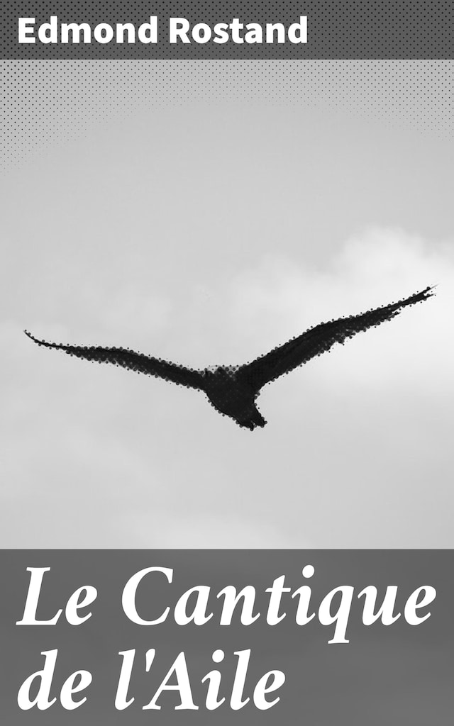 Book cover for Le Cantique de l'Aile