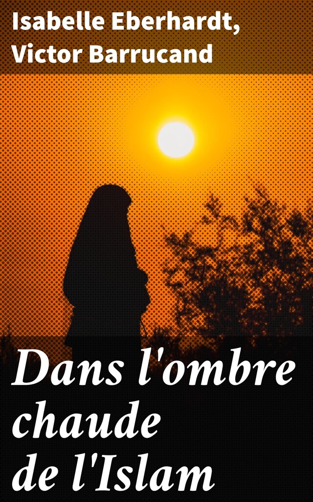 Book cover for Dans l'ombre chaude de l'Islam