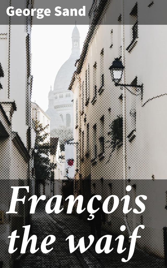 Book cover for François the waif
