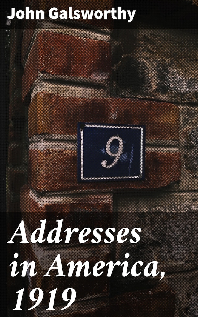 Book cover for Addresses in America, 1919