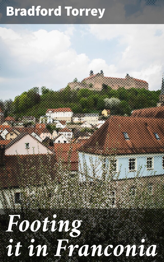 Bokomslag for Footing it in Franconia