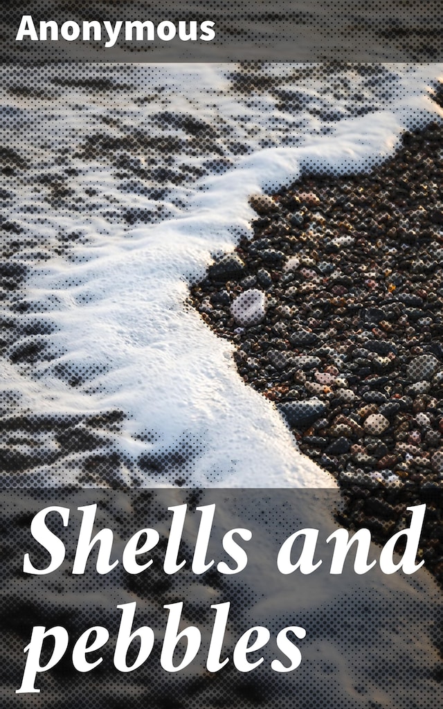 Shells and pebbles