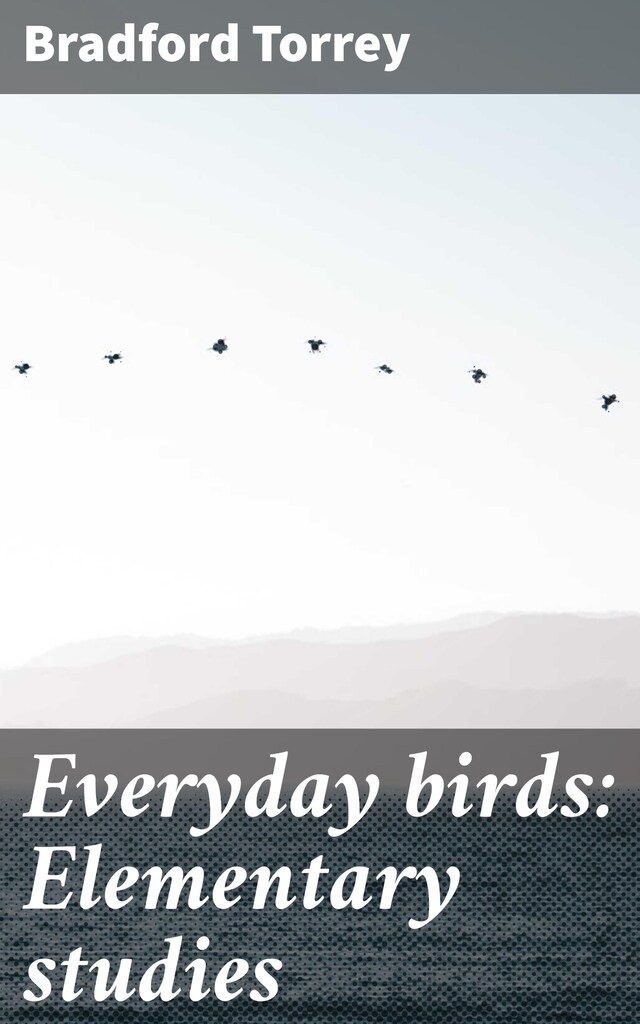 Book cover for Everyday birds: Elementary studies