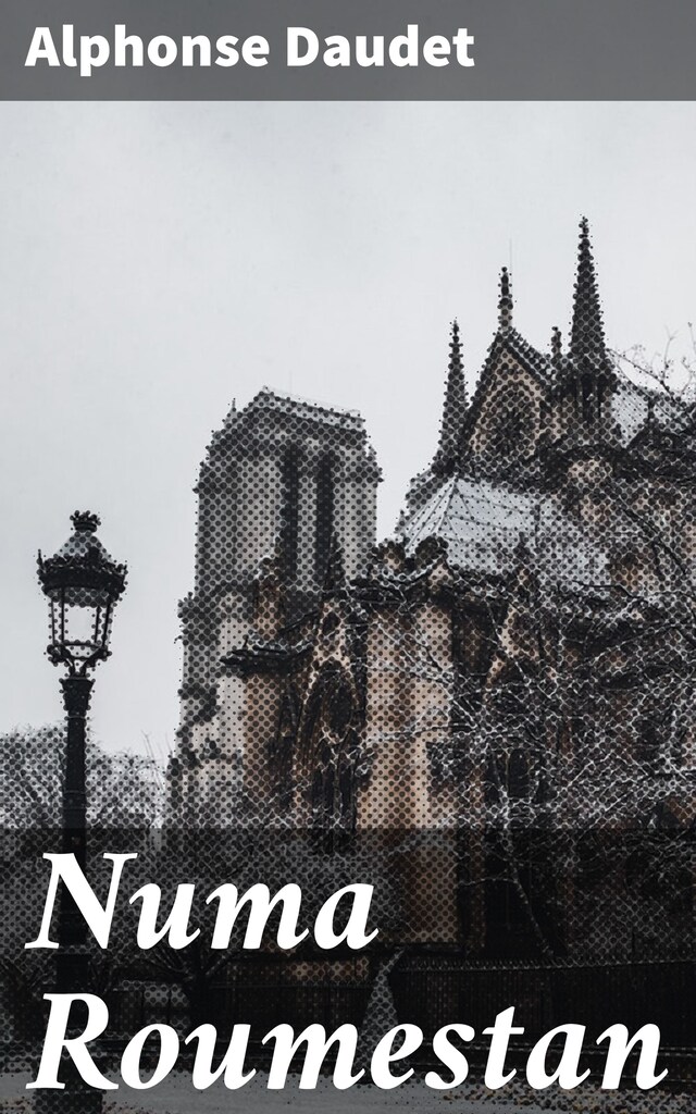 Book cover for Numa Roumestan