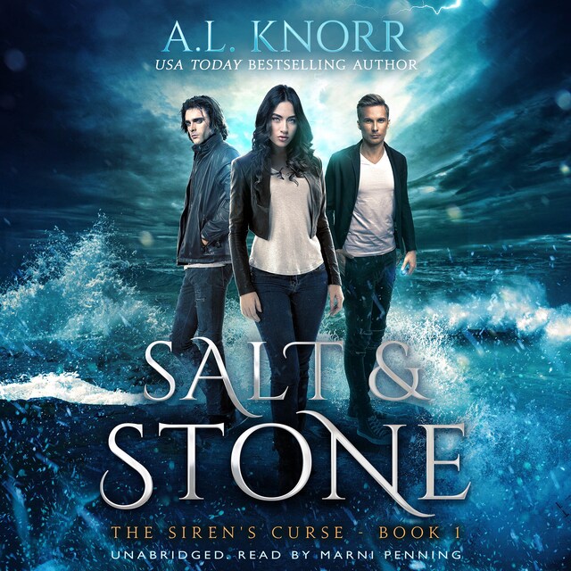 Boekomslag van Salt & Stone - Audiobook