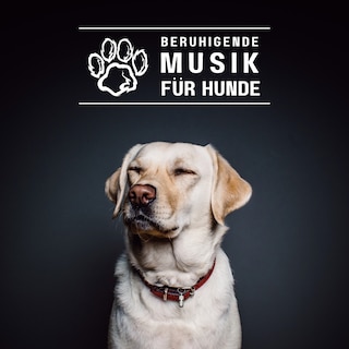 Beruhigende Musik für Hunde als Hörbuch