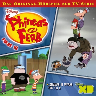 12: Sommer in Gefahr (Teil 1 & 2) (Hörspiel zur Disney TV-Serie) als Hörbuch