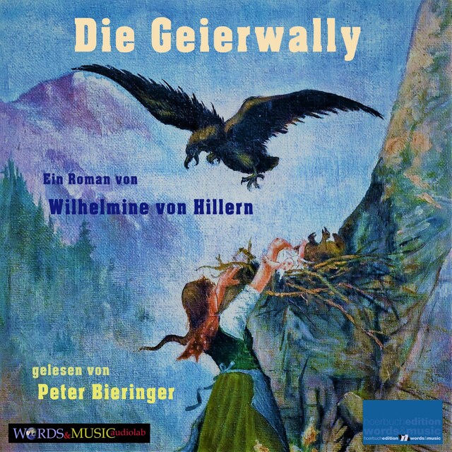 Book cover for Die Geierwally