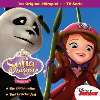 14: Die Hexenweihe / Das Drachenfest (Hörspiel zur Disney TV-Serie) als Hörbuch