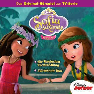 15: Die Kaninchen-Verwechslung / Stürmische Lani (Hörspiel zur Disney TV-Serie) als Hörbuch
