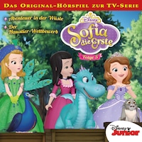 05: Abenteuer in der Wüste / Der Haustier-Wettbewerb (Hörspiel zur Disney TV-Serie)