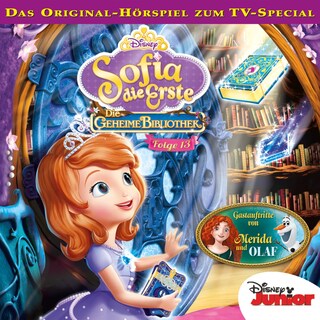 13: Die geheime Bibliothek / Olaf und die Geschichte von Miss Nettle (Hörspiel zum TV-Special) als Hörbuch