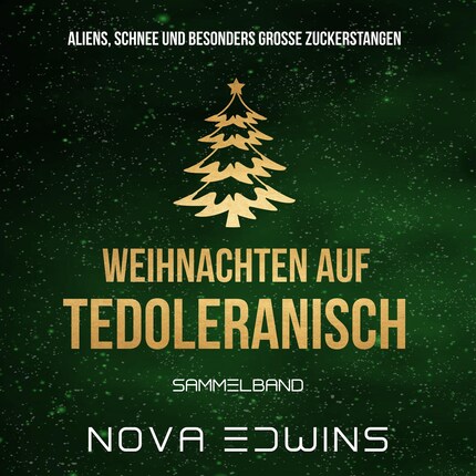 Weihnachten auf Tedoleranisch bookCoverFor