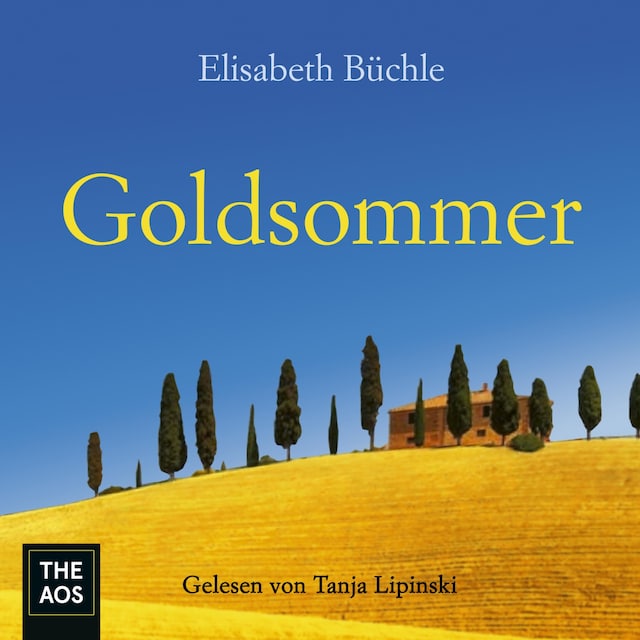 Book cover for Goldsommer