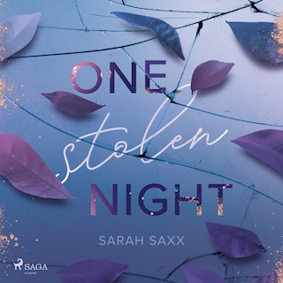 One Stolen Night als Hörbuch