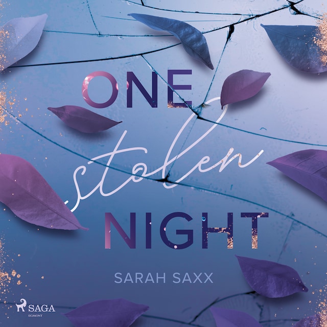 Book cover for One Stolen Night
