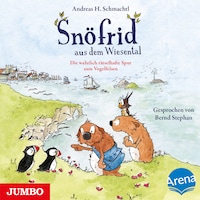 Snöfrid aus dem Wiesental. Die wahrlich rätselhafte Spur zum Vogelfelsen