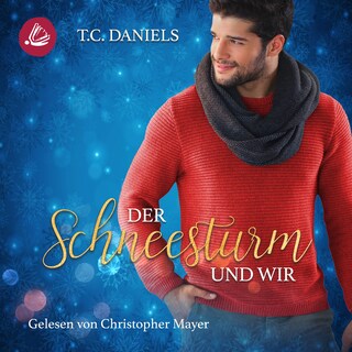 Der Schneesturm und wir als Hörbuch