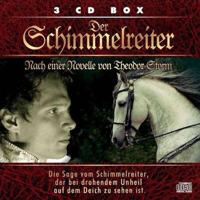 Book cover for Der Schimmelreiter
