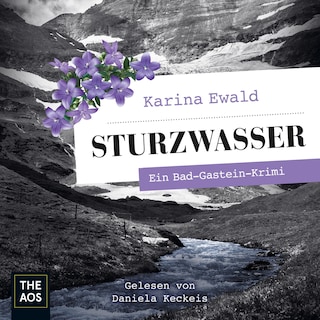Sturzwasser als Hörbuch