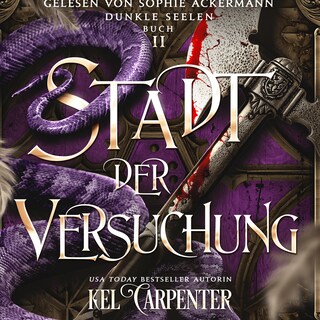 Dunkle Seelen 2 - Dark Fantasy Hörbuch als Hörbuch