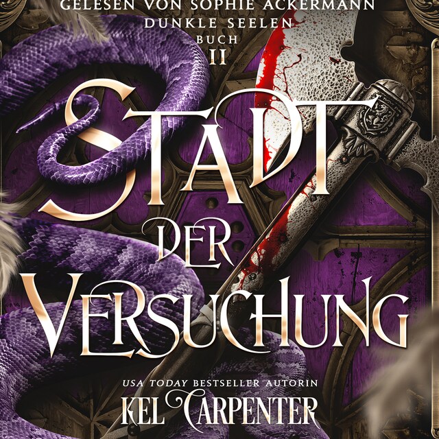 Buchcover für Dunkle Seelen 2 - Dark Fantasy Hörbuch