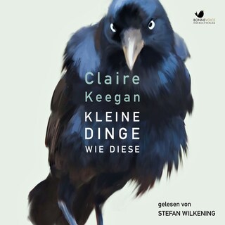 Kleine Dinge wie diese als Hörbuch