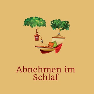 Abnehmen im Schlaf als Hörbuch