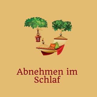 Abnehmen im Schlaf bookCoverFor