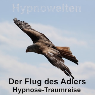 Der Flug des Adlers als Hörbuch