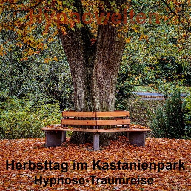 Copertina del libro per Herbsttag im Kastanienpark