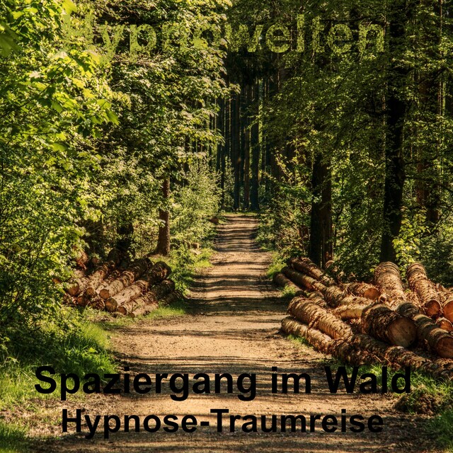 Book cover for Spaziergang im Wald