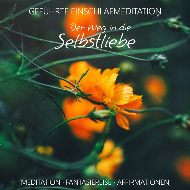 Buchcover für Der Weg in die Selbstliebe · geführte Einschlafmeditation