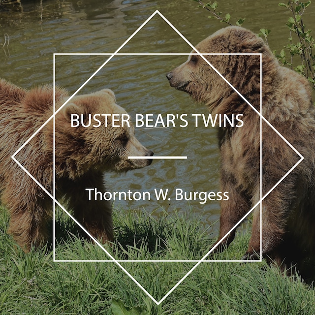 Boekomslag van Buster Bear's Twins