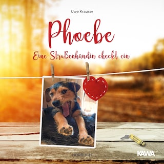 Phoebe als Hörbuch