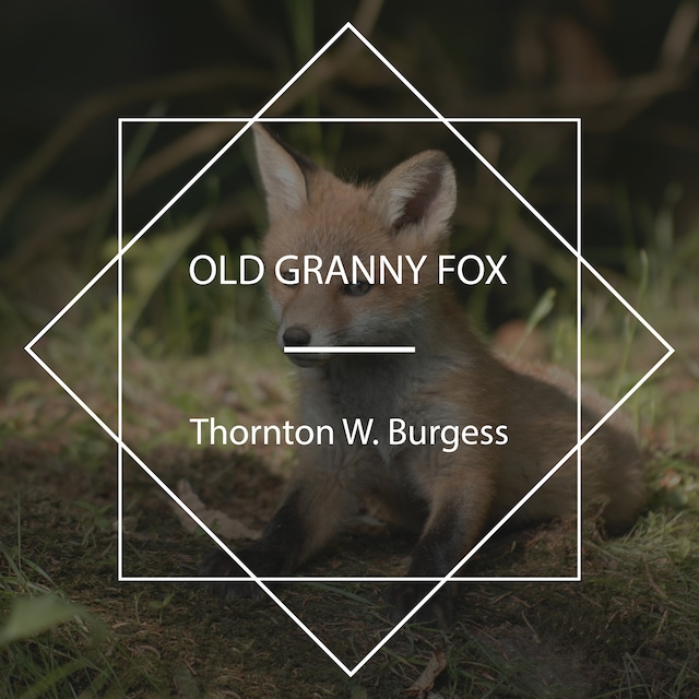 Boekomslag van Old Granny Fox